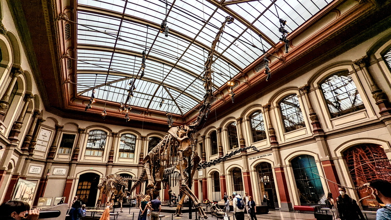 Natural History Museum, Berlin, Germany.jpg