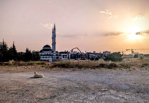 Ankara